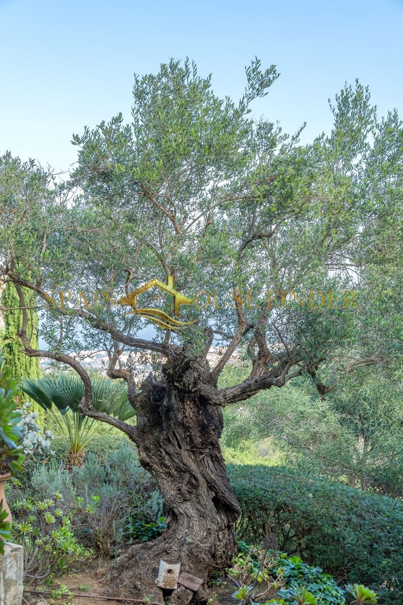 5 soveværelse Villa til salg i Monte Pego med swimmingpool garage - € 699.000 (Ref: 7348111)