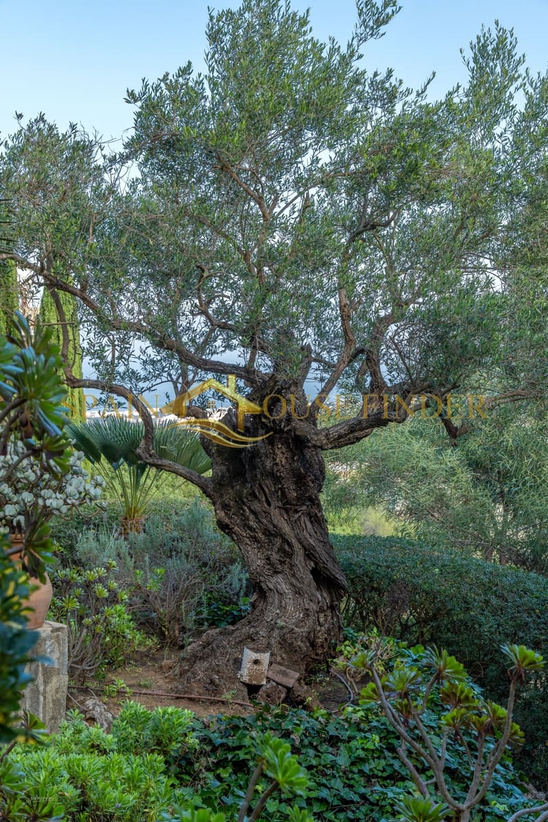 5 soveværelse Villa til salg i Monte Pego med swimmingpool garage - € 699.000 (Ref: 7348111)