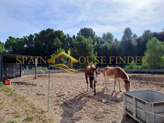 1 bedroom Business for sale in Orba with garage - € 179,900 (Ref: 7864939)