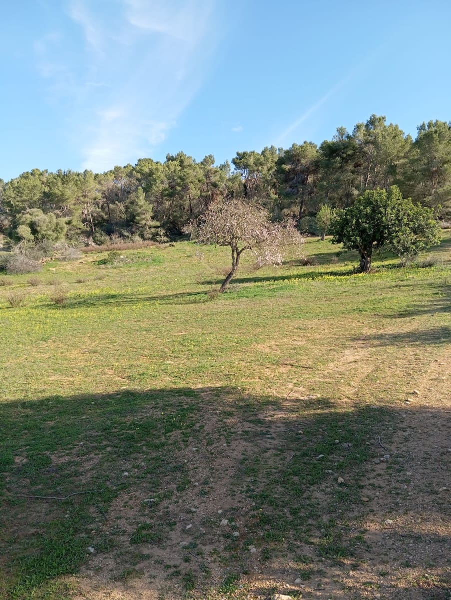 Ubebygd land til salgs i Felanitx - € 550 000 (Ref: 10155519)