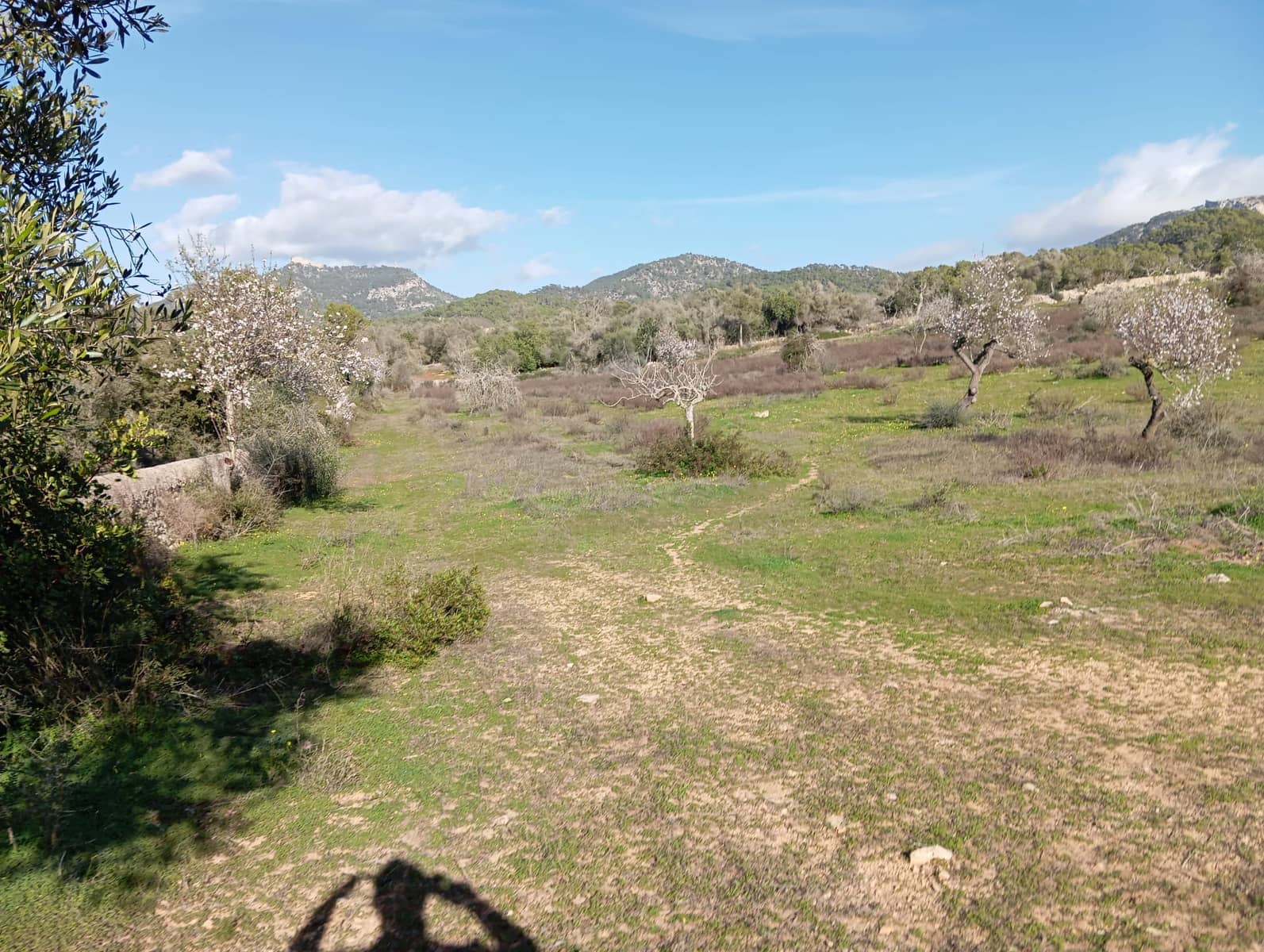 Ubebygd land til salgs i Felanitx - € 550 000 (Ref: 10155519)