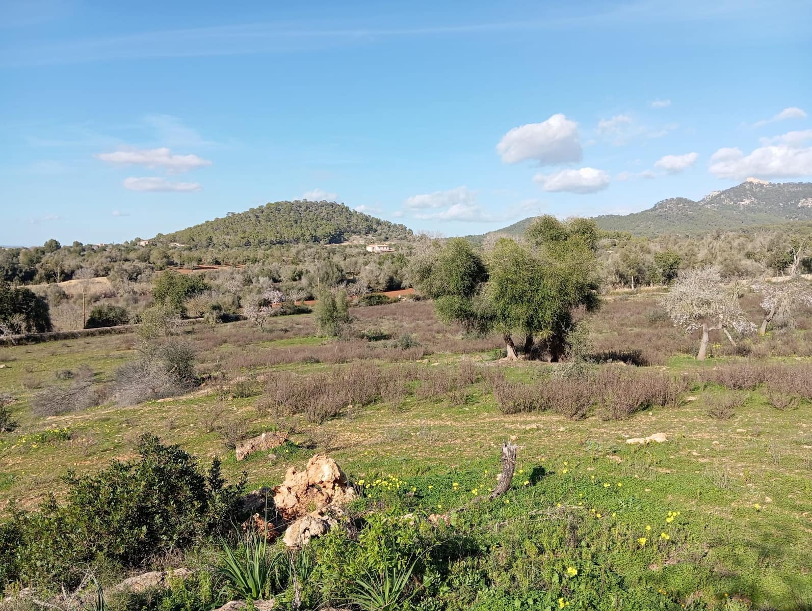 Ubebygd land til salgs i Felanitx - € 550 000 (Ref: 10155519)