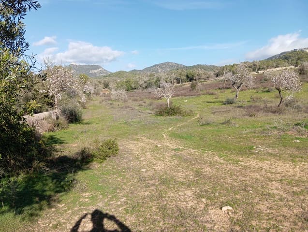 Ubebygd land til salgs i Felanitx - € 550 000 (Ref: 10155519)