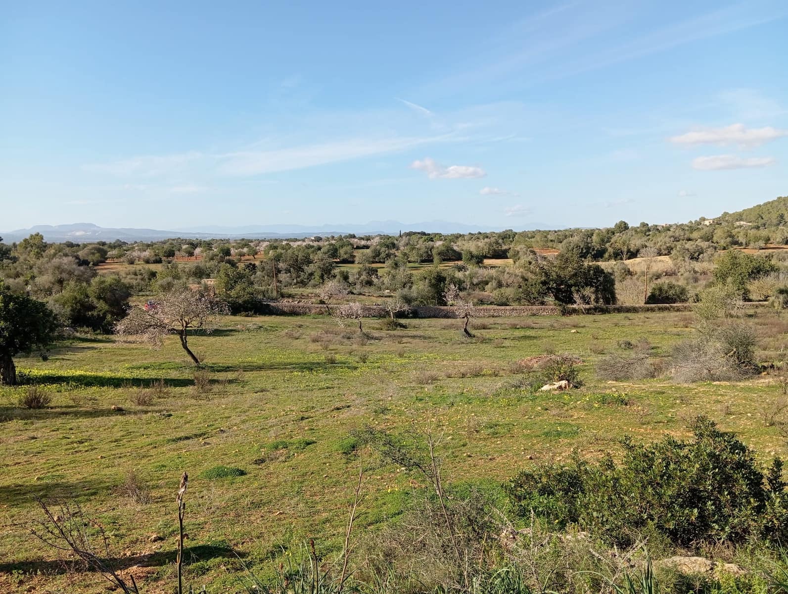 Ubebygd land til salgs i Felanitx - € 550 000 (Ref: 10155519)