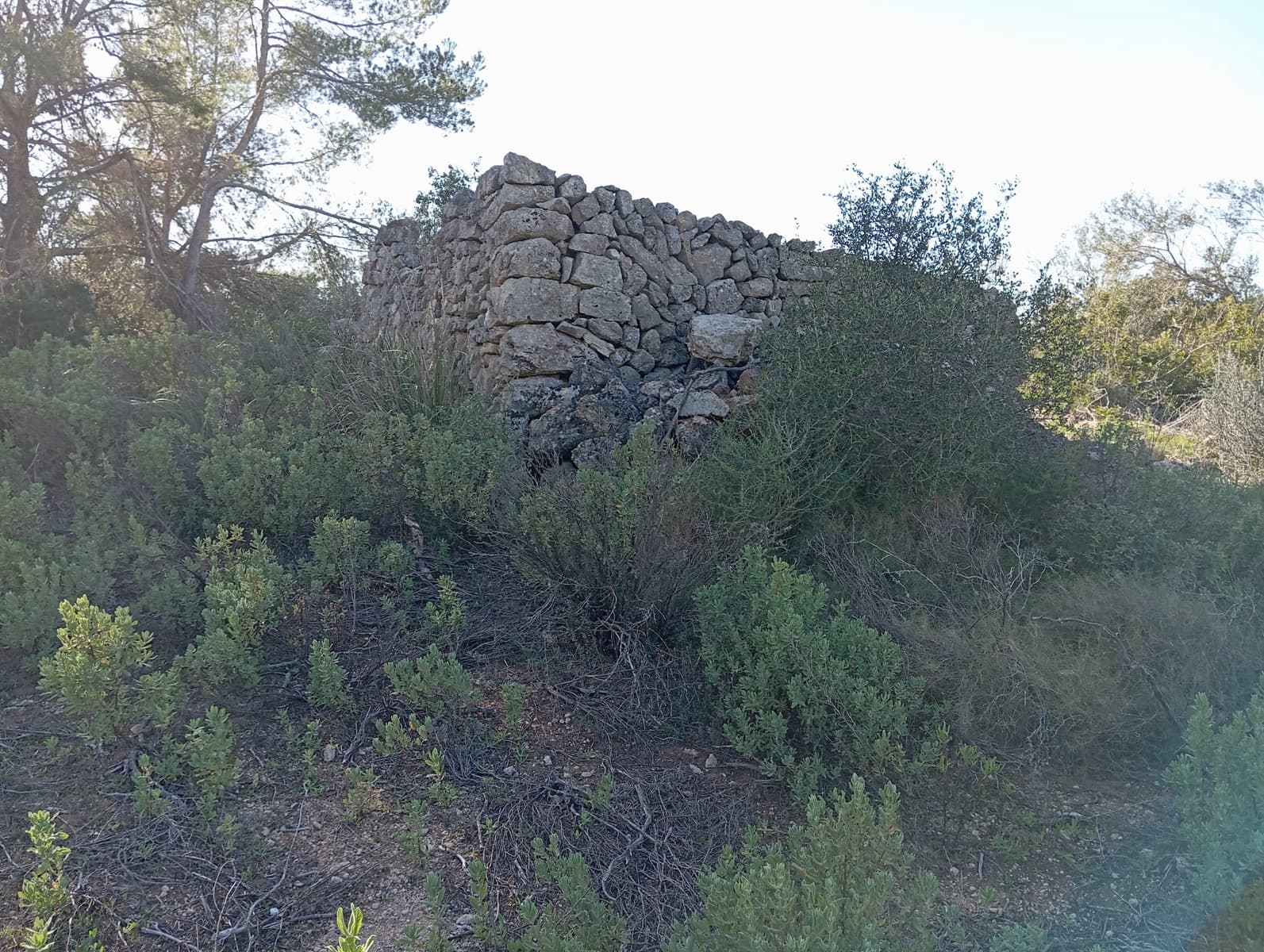 Ubebygd land til salgs i Felanitx - € 550 000 (Ref: 10155519)