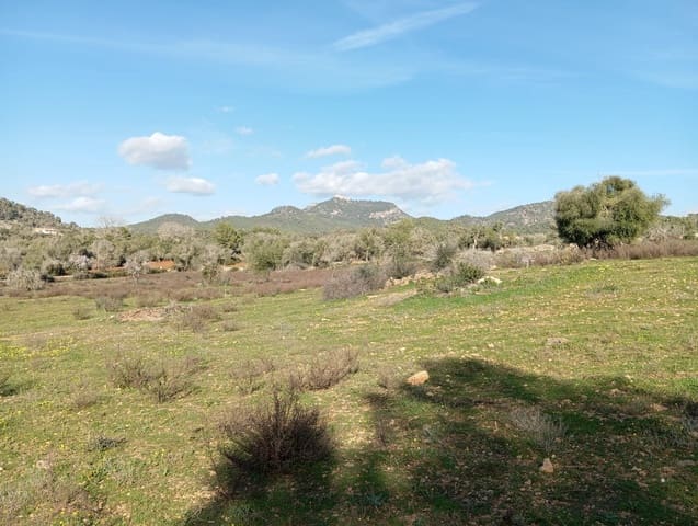 Ubebygd land til salgs i Felanitx - € 550 000 (Ref: 10155519)