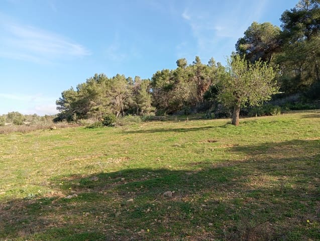 Ubebygd land til salgs i Felanitx - € 550 000 (Ref: 10155519)