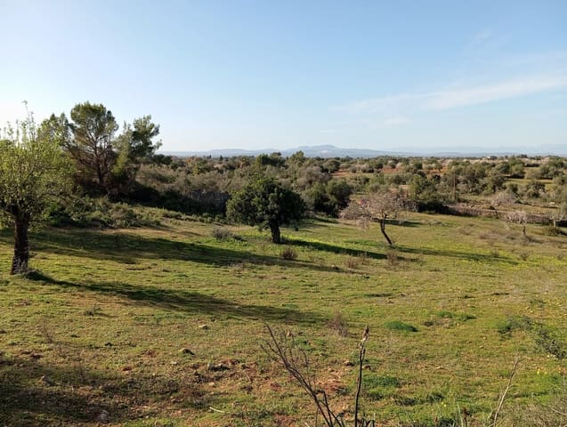 Ubebygd land til salgs i Felanitx - € 550 000 (Ref: 10155519)