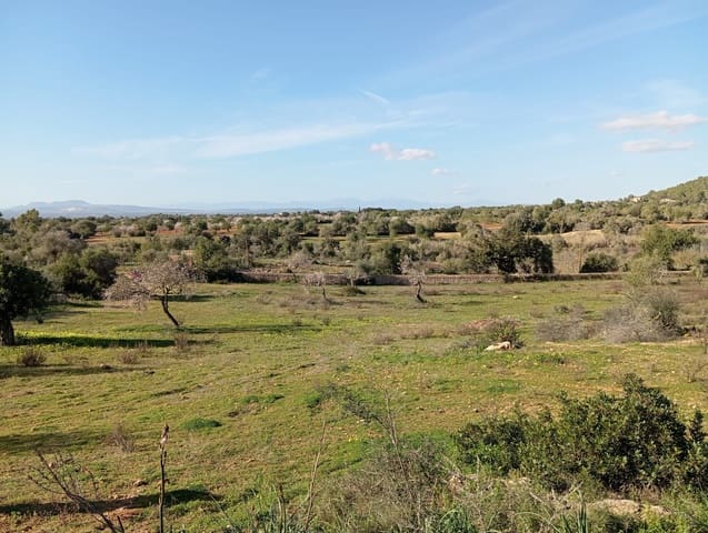 Ubebygd land til salgs i Felanitx - € 550 000 (Ref: 10155519)
