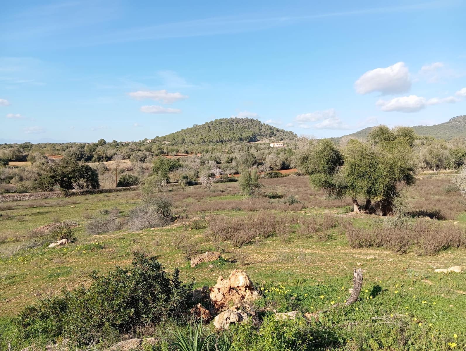 Ubebygd land til salgs i Felanitx - € 550 000 (Ref: 10155519)