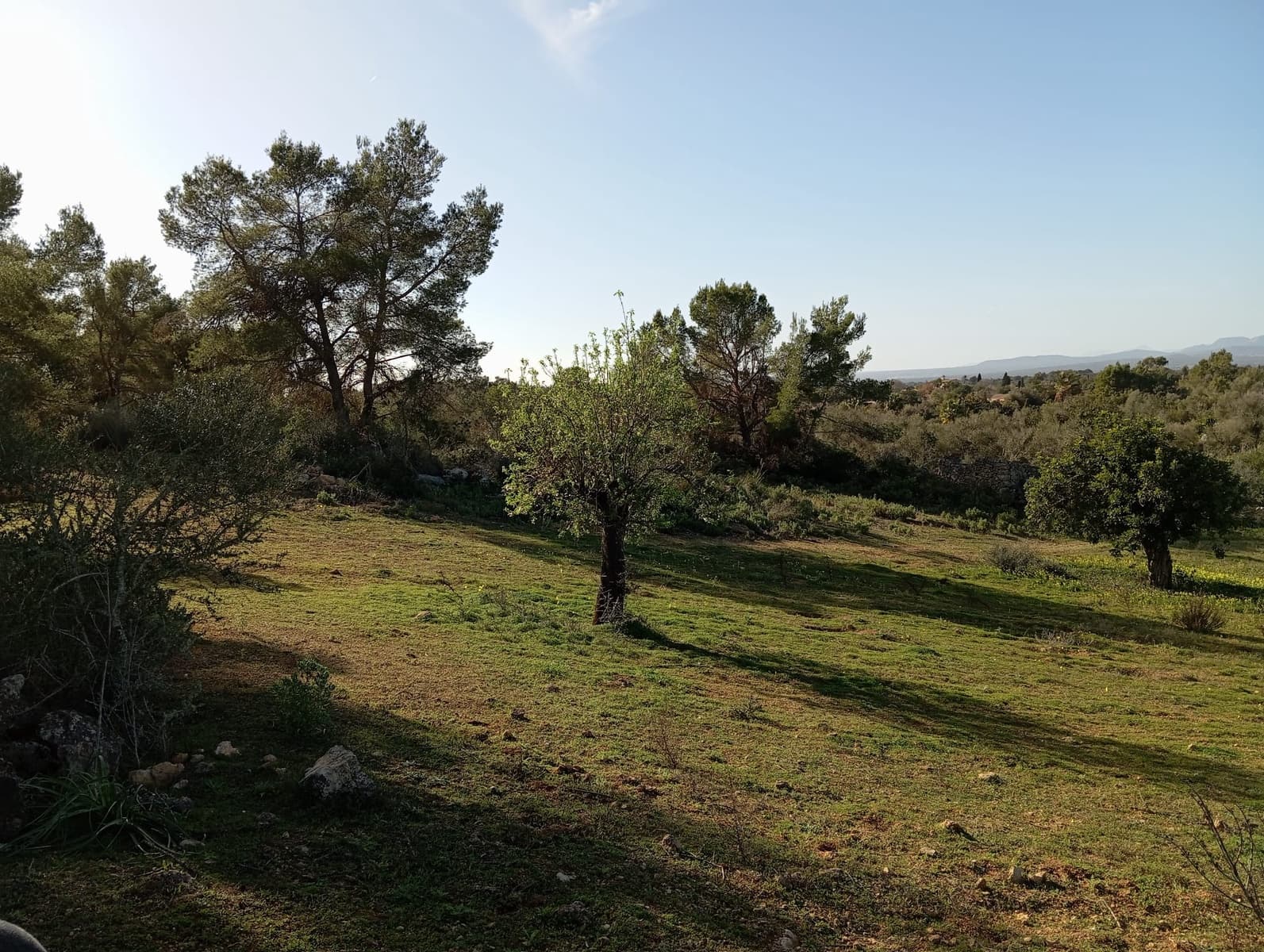 Ubebygd land til salgs i Felanitx - € 550 000 (Ref: 10155519)