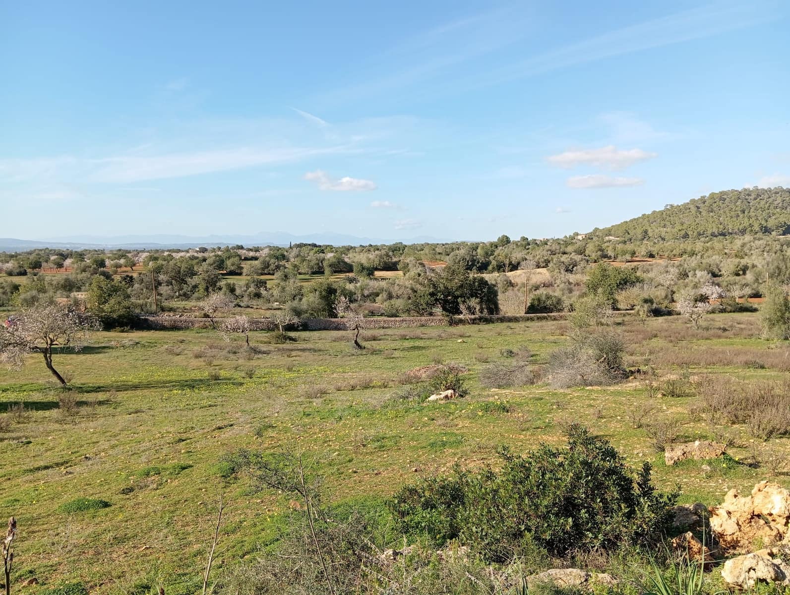 Ubebygd land til salgs i Felanitx - € 550 000 (Ref: 10155519)