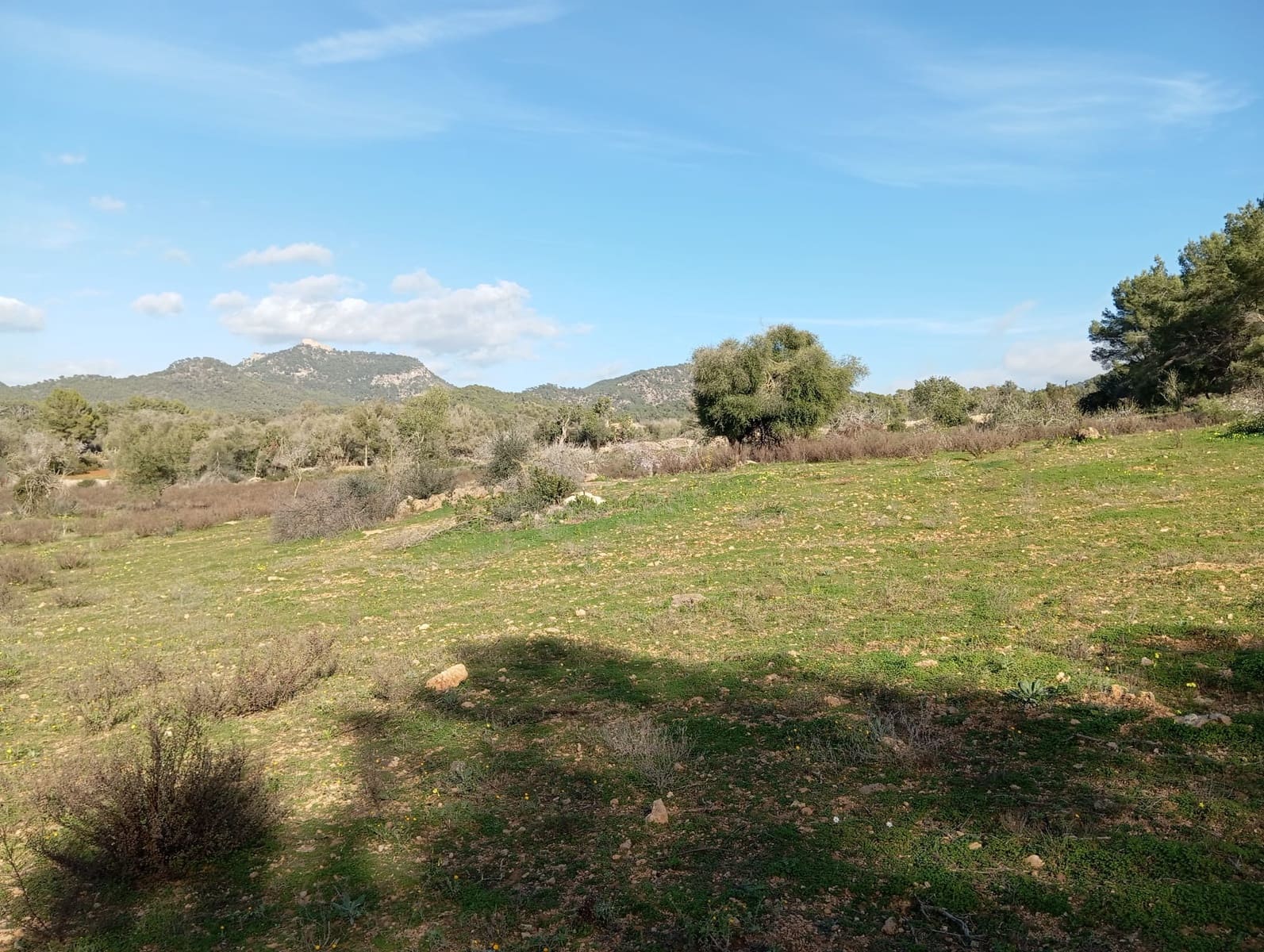 Ubebygd land til salgs i Felanitx - € 550 000 (Ref: 10155519)