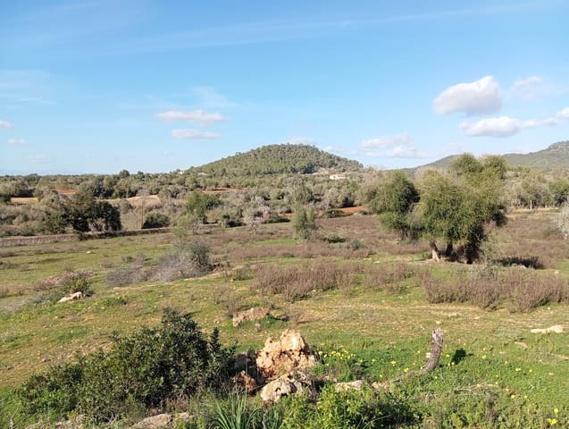 Ubebygd land til salgs i Felanitx - € 550 000 (Ref: 10155519)