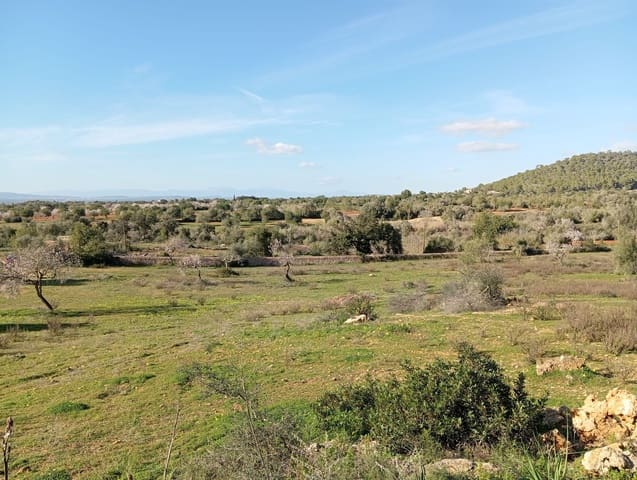 Ubebygd land til salgs i Felanitx - € 550 000 (Ref: 10155519)