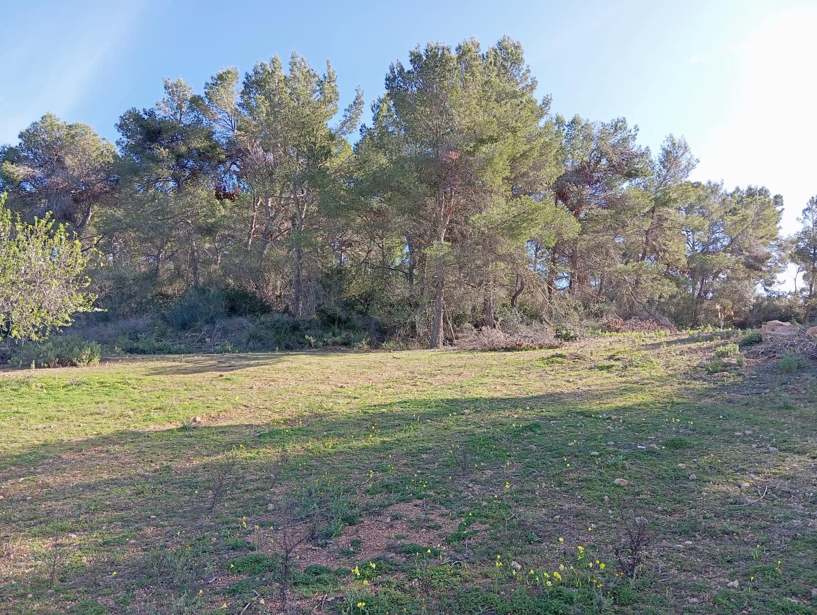 Ubebygd land til salgs i Felanitx - € 550 000 (Ref: 10155519)