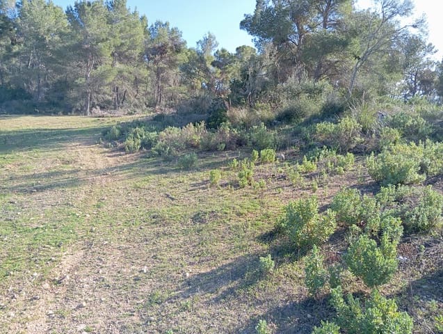 Ubebygd land til salgs i Felanitx - € 550 000 (Ref: 10155519)