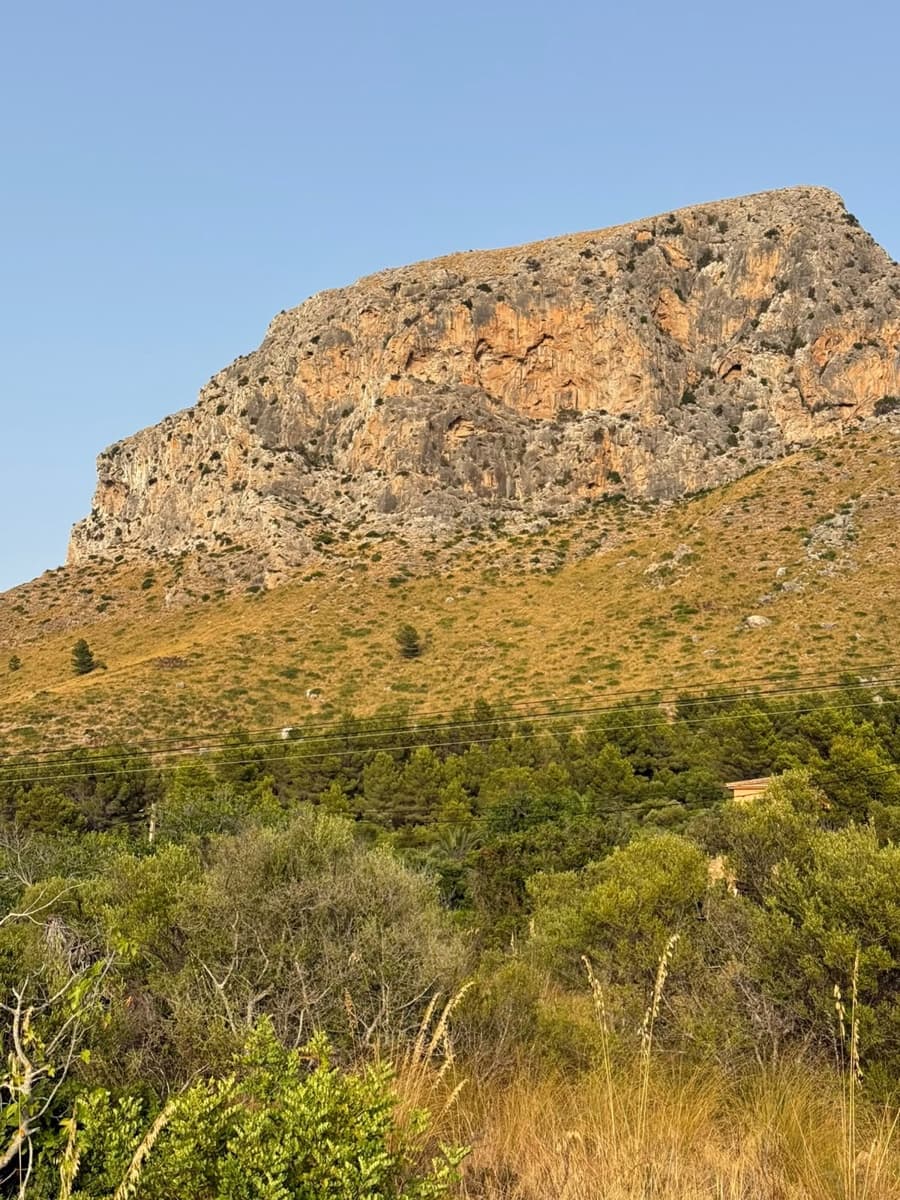 Undeveloped Land for sale in Arta - € 3,000,000 (Ref: 10155578)