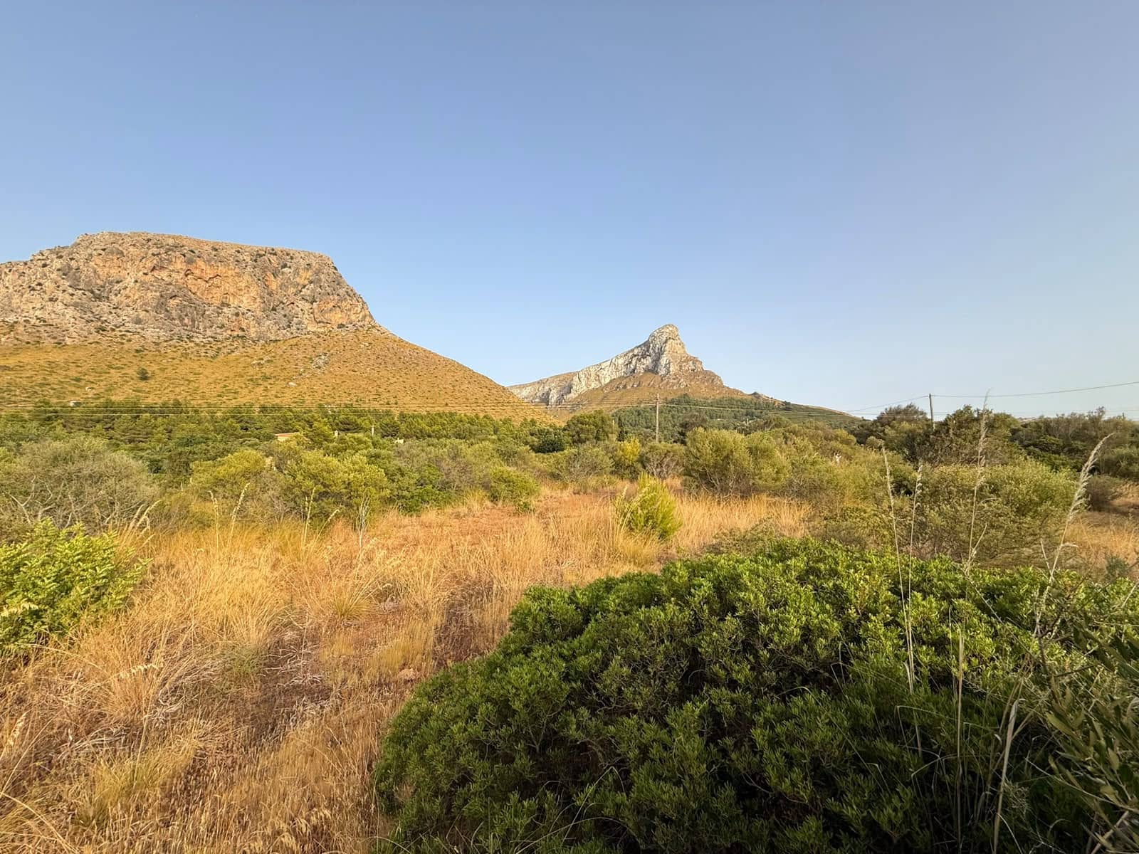 Undeveloped Land for sale in Arta - € 3,000,000 (Ref: 10155578)