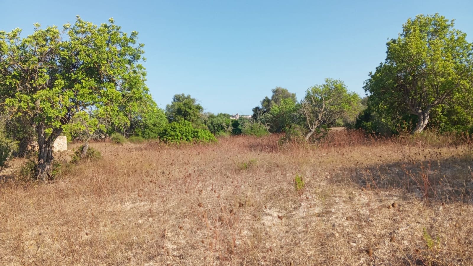 Undeveloped Land for sale in Son Servera - € 400,000 (Ref: 10159878)