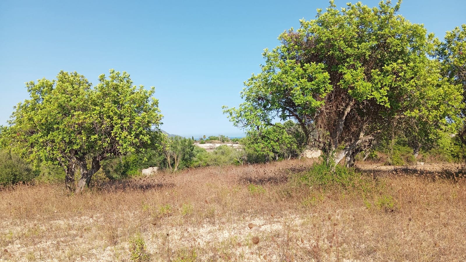 Undeveloped Land for sale in Son Servera - € 400,000 (Ref: 10159878)