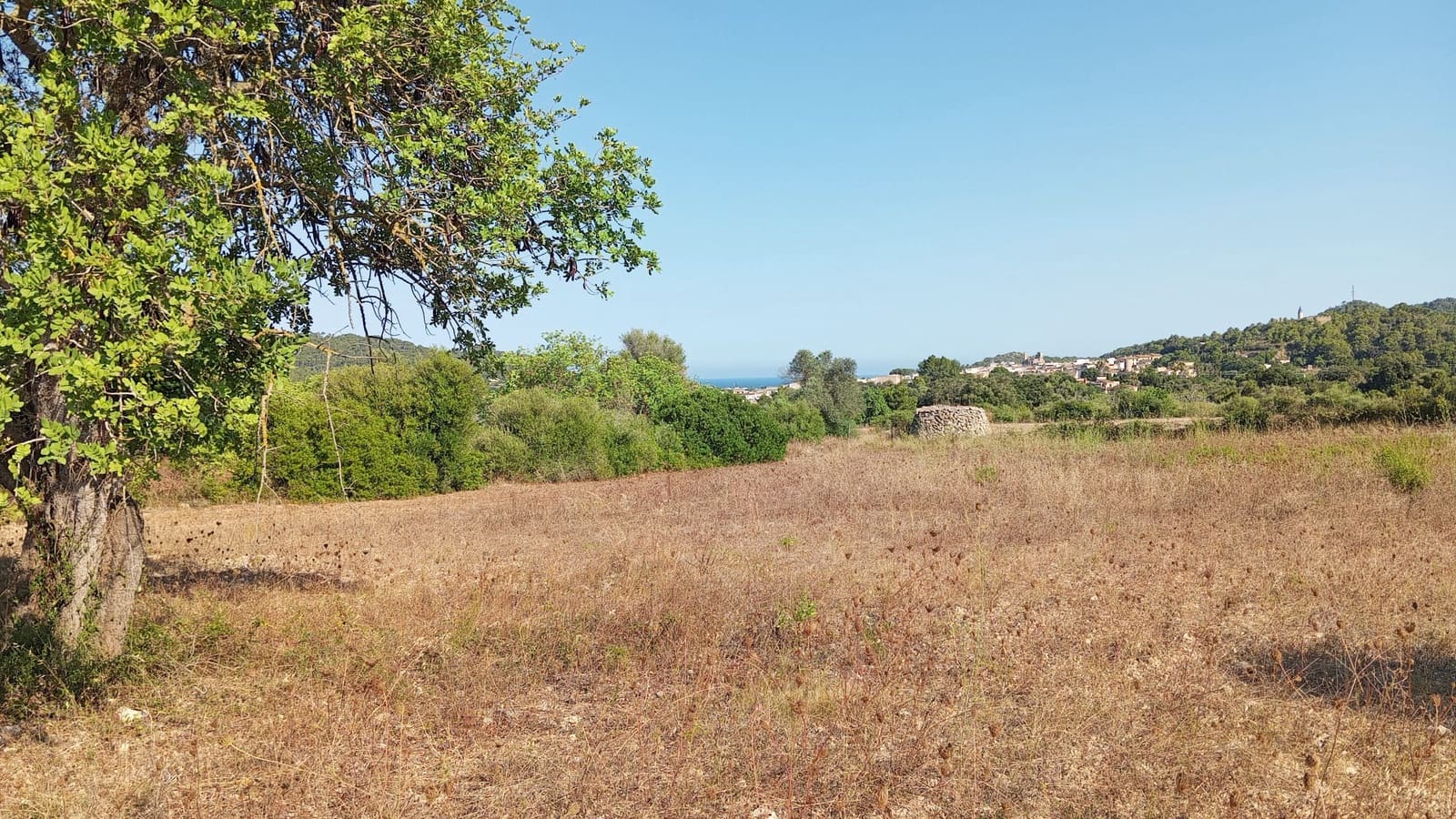 Undeveloped Land for sale in Son Servera - € 400,000 (Ref: 10159878)