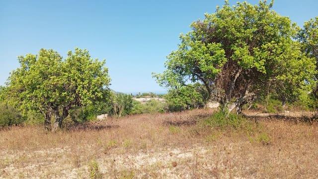 Terreno Non Edificato in vendita in Son Servera - 400.000 € (Rif: 10159878)