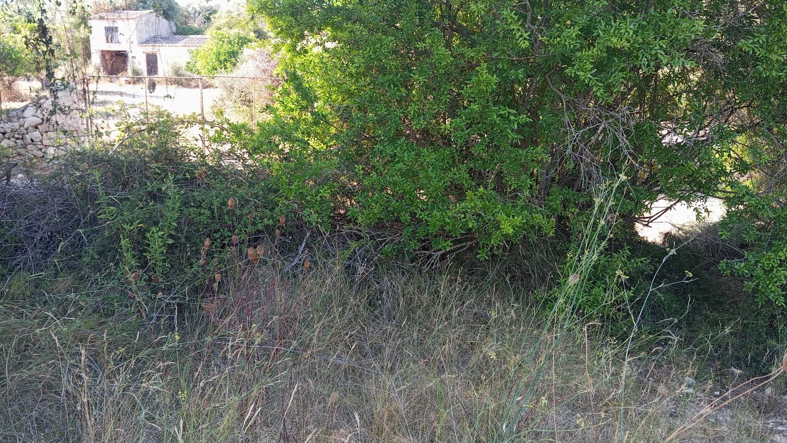 Undeveloped Land for sale in Son Servera - € 400,000 (Ref: 10159878)