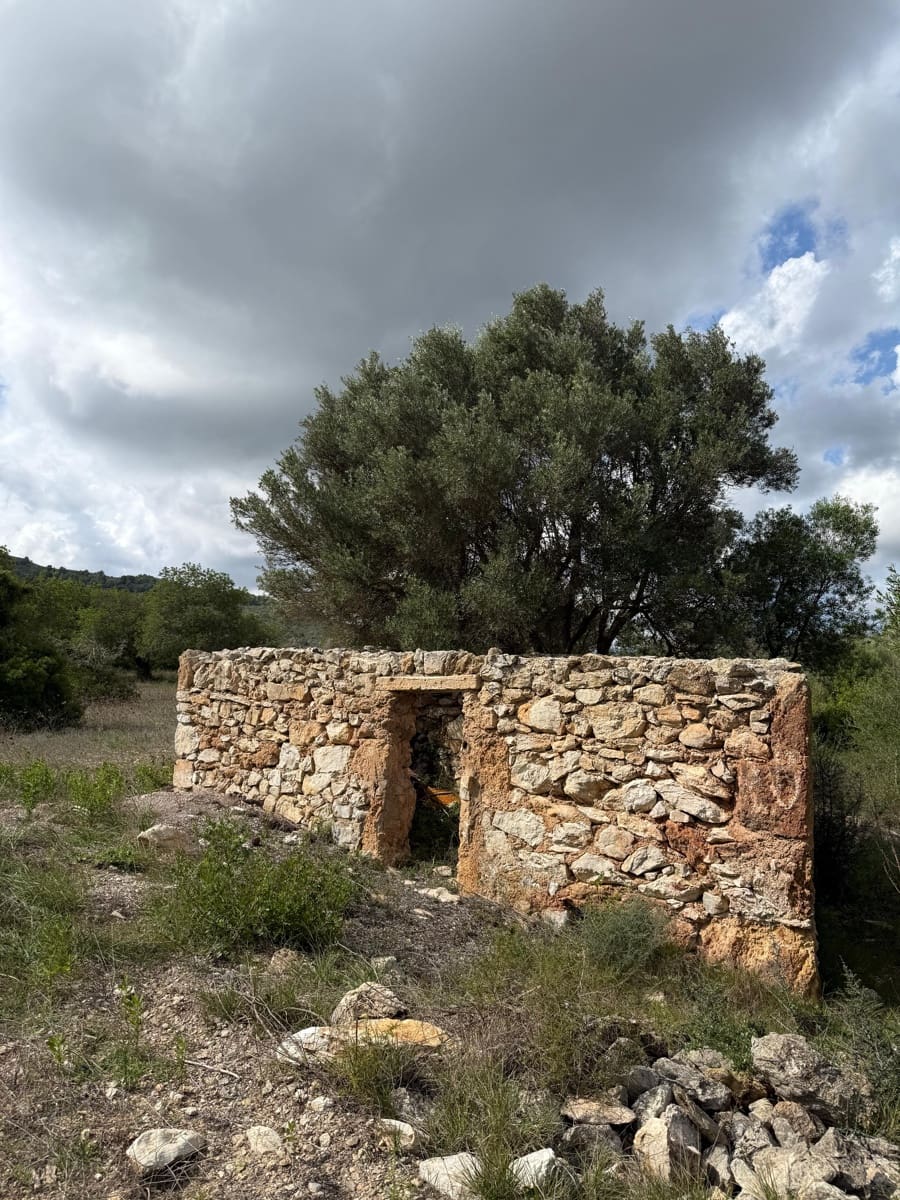 Undeveloped Land for sale in Son Servera - € 400,000 (Ref: 10159878)