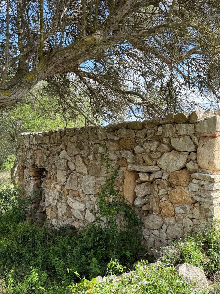 Undeveloped Land for sale in Son Servera - € 400,000 (Ref: 10159878)