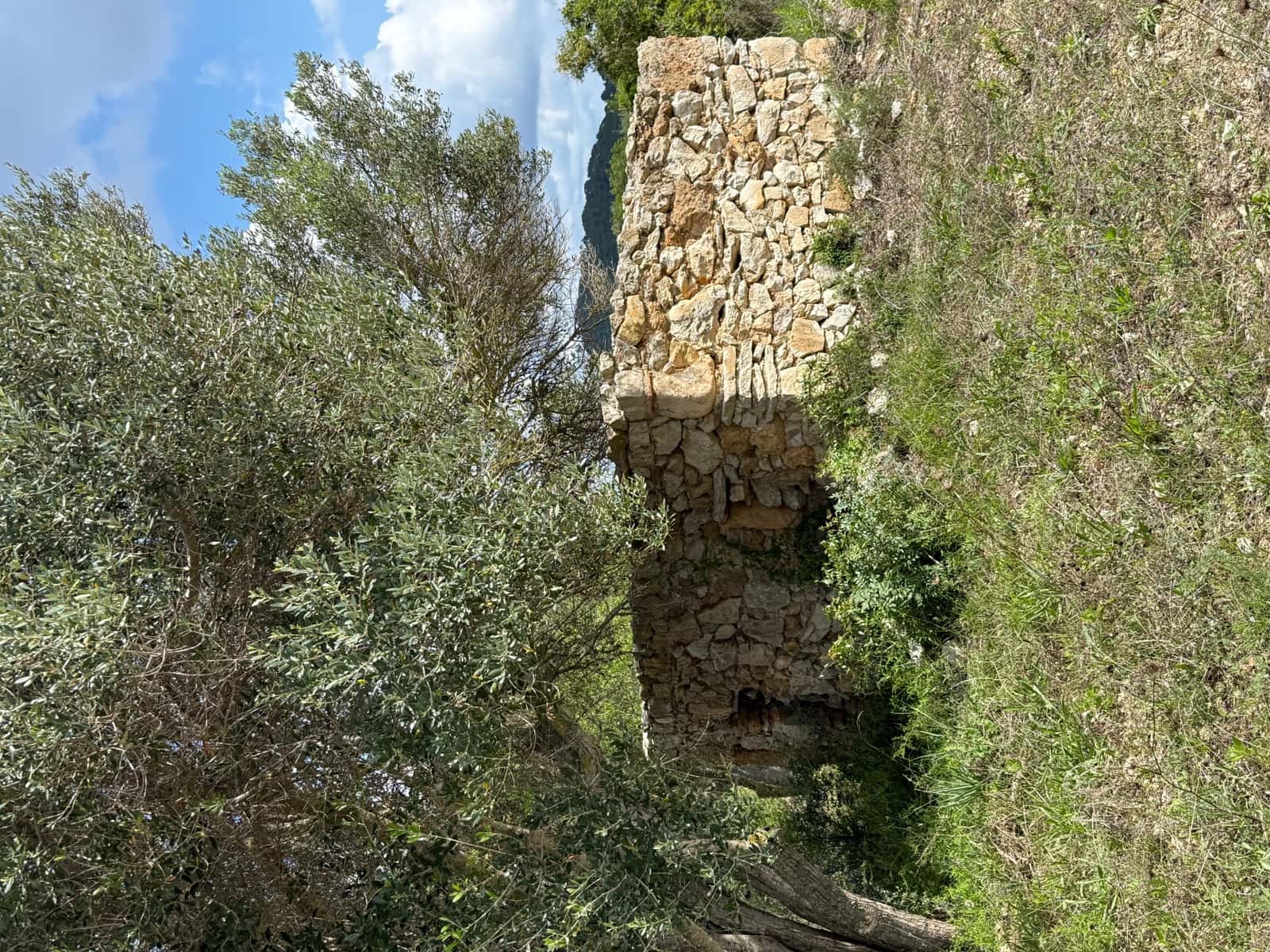 Undeveloped Land for sale in Son Servera - € 400,000 (Ref: 10159878)