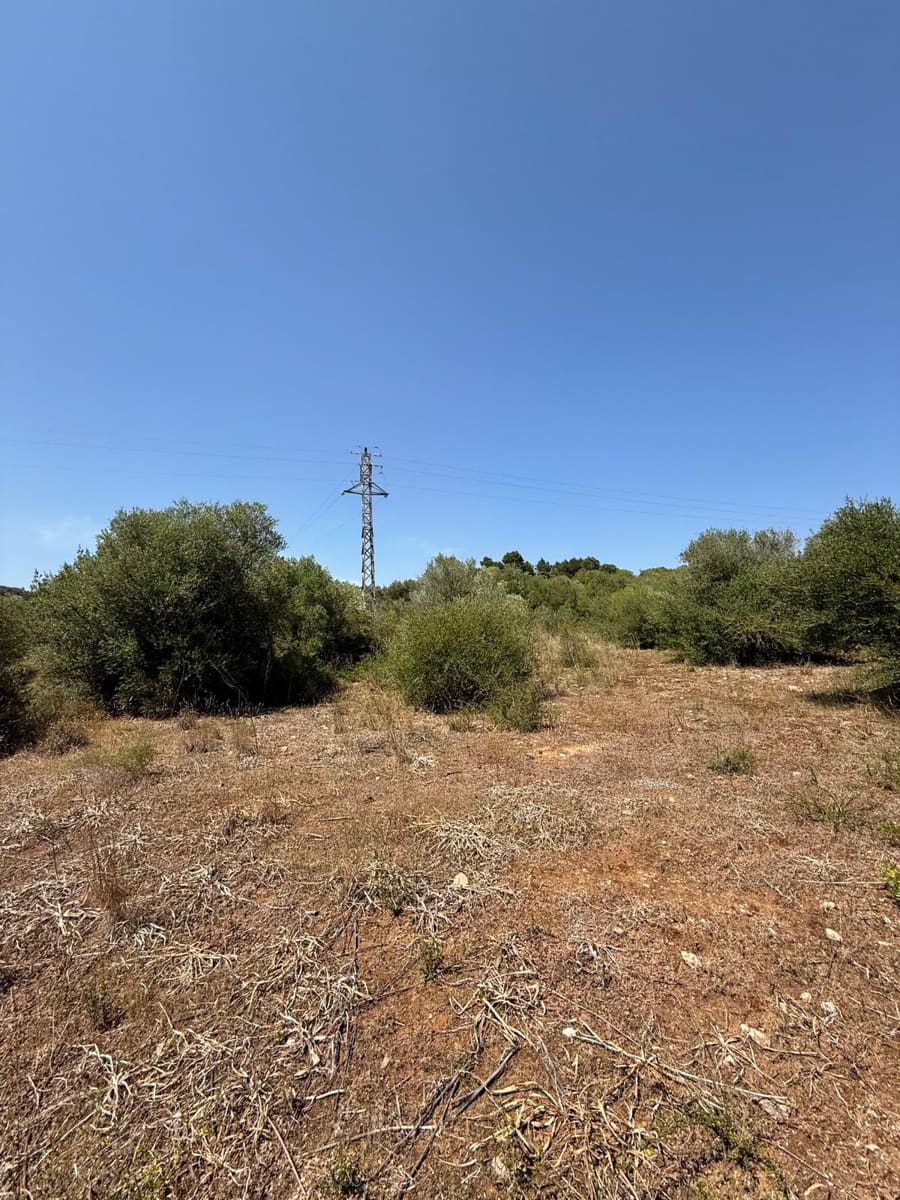 Ubebygd land til salgs i Son Servera - € 170 000 (Ref: 10159895)