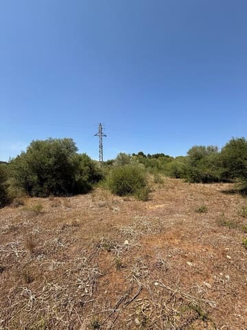 Ubebygd land til salgs i Son Servera - € 170 000 (Ref: 10159895)