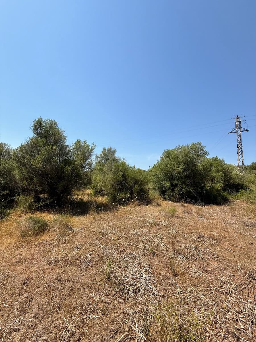 Ubebygd land til salgs i Son Servera - € 170 000 (Ref: 10159895)