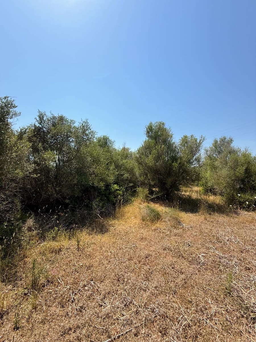 Ubebygd land til salgs i Son Servera - € 170 000 (Ref: 10159895)