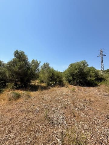 Ubebygd land til salgs i Son Servera - € 170 000 (Ref: 10159895)