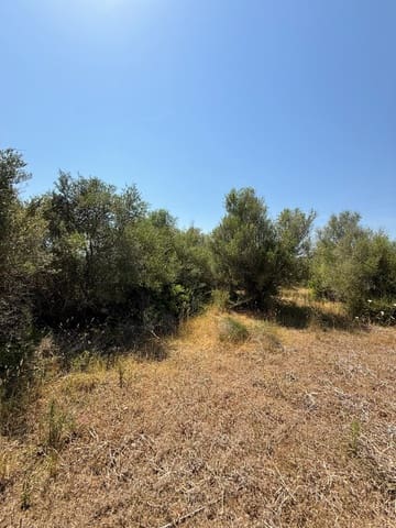 Ubebygd land til salgs i Son Servera - € 170 000 (Ref: 10159895)