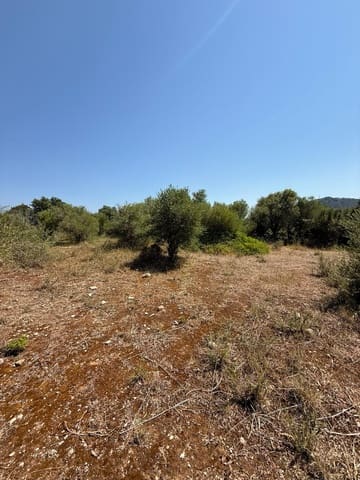 Ubebygd land til salgs i Son Servera - € 170 000 (Ref: 10159895)