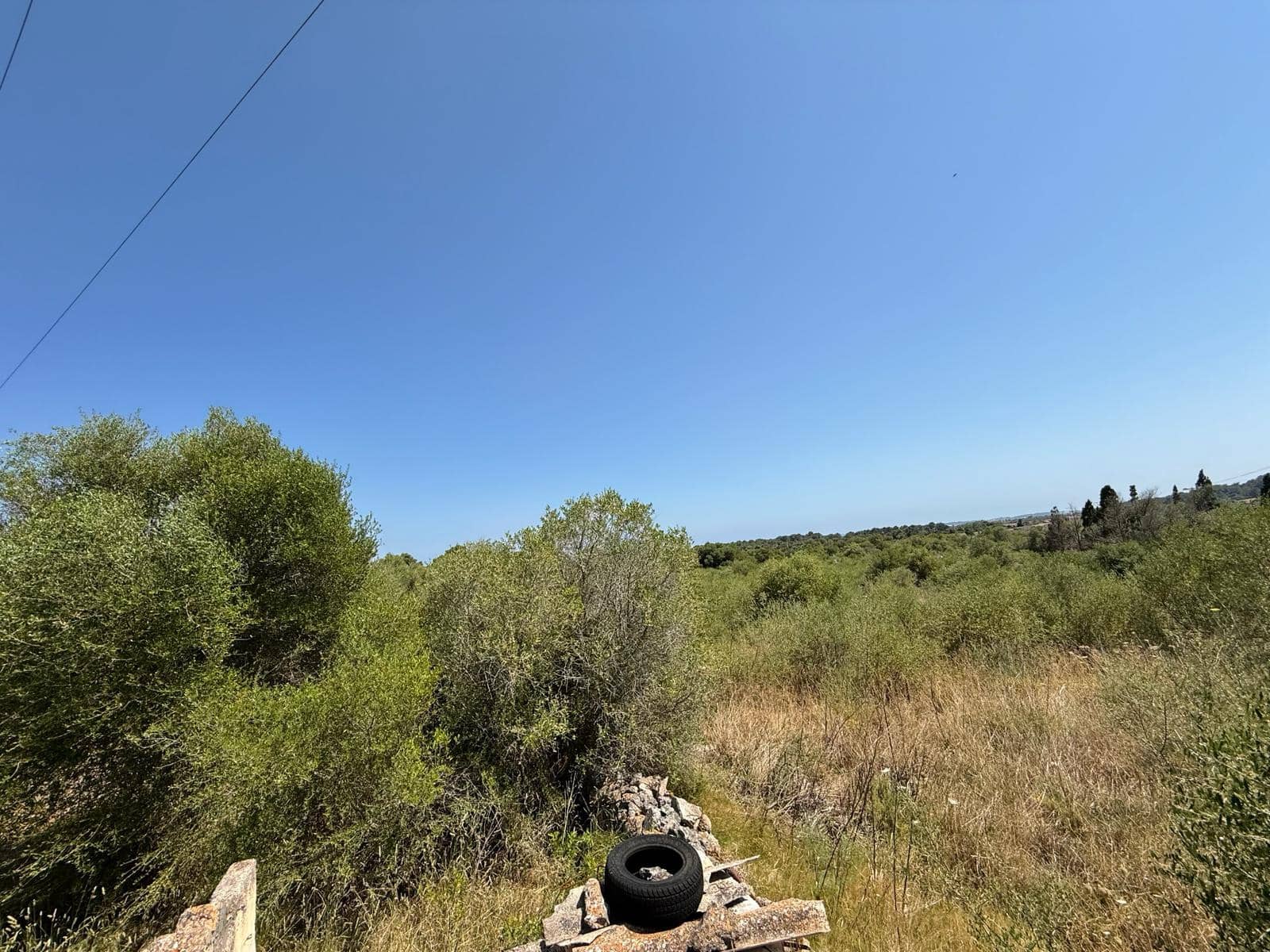 Ubebygd land til salgs i Son Servera - € 170 000 (Ref: 10159895)