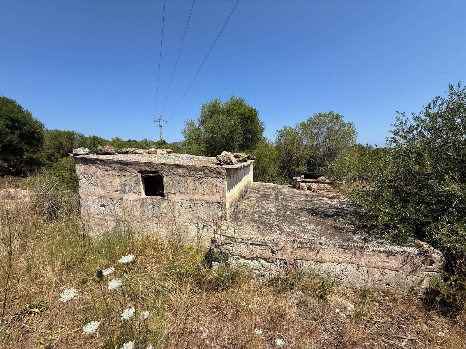 Ubebygd land til salgs i Son Servera - € 170 000 (Ref: 10159895)