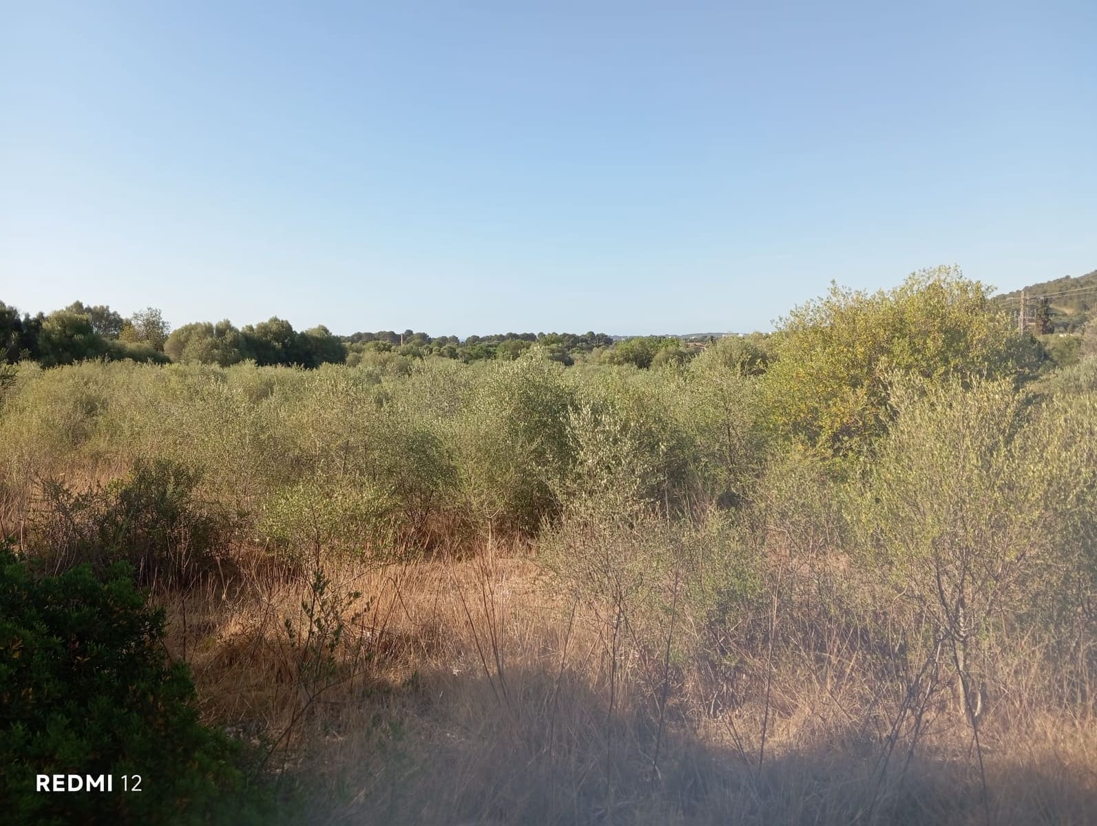 Ubebygd land til salgs i Son Servera - € 170 000 (Ref: 10159895)