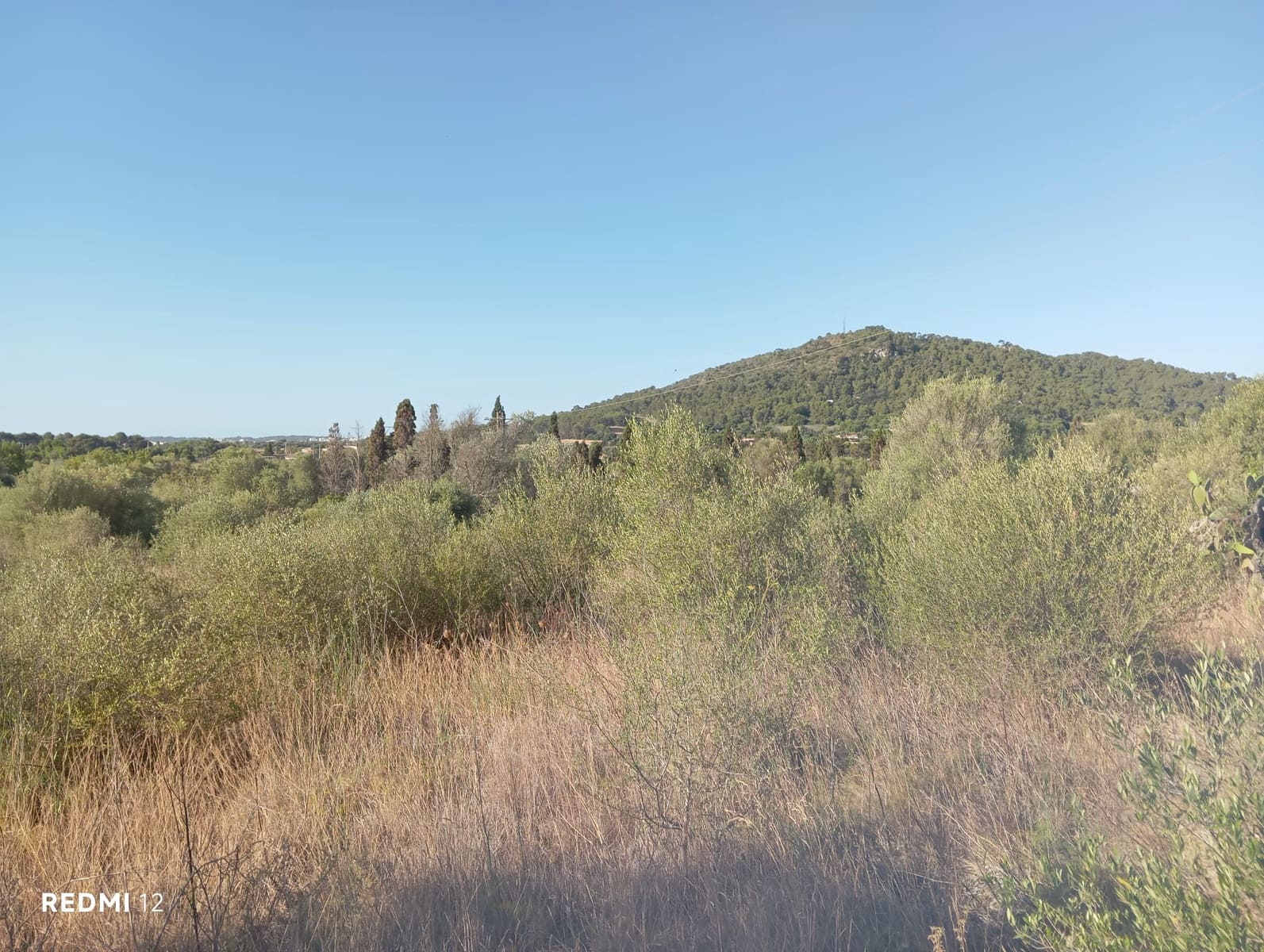 Ubebygd land til salgs i Son Servera - € 170 000 (Ref: 10159895)
