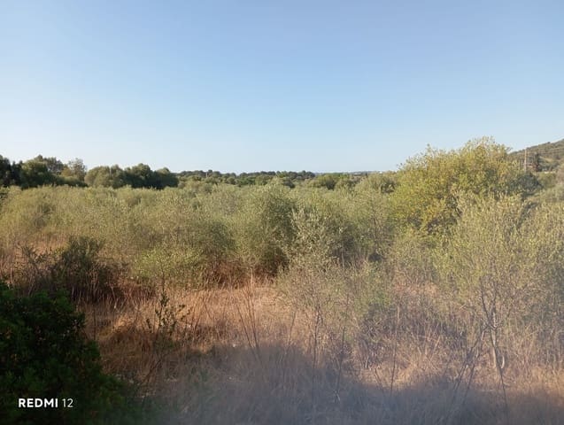 Ubebygd land til salgs i Son Servera - € 170 000 (Ref: 10159895)