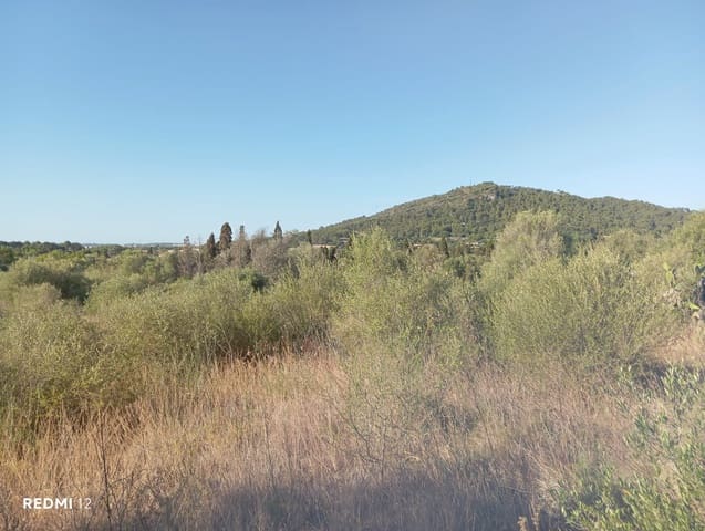 Ubebygd land til salgs i Son Servera - € 170 000 (Ref: 10159895)