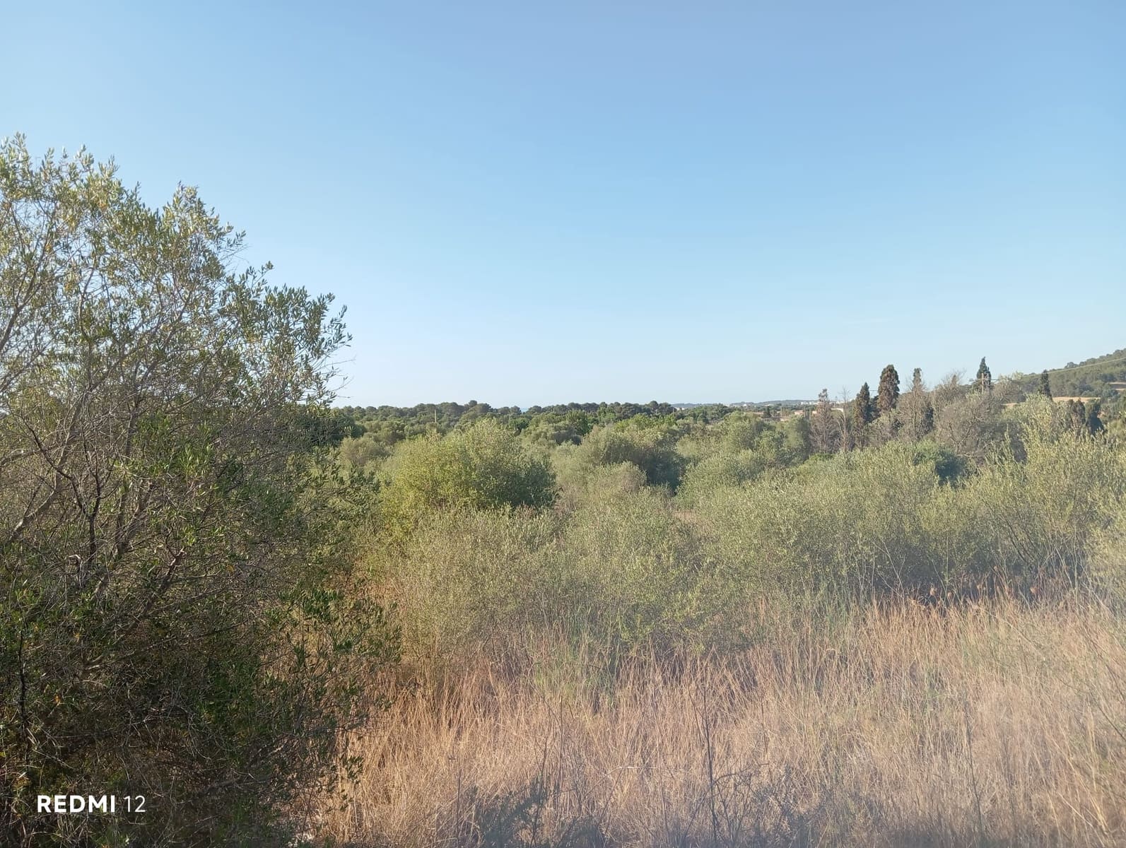 Ubebygd land til salgs i Son Servera - € 170 000 (Ref: 10159895)