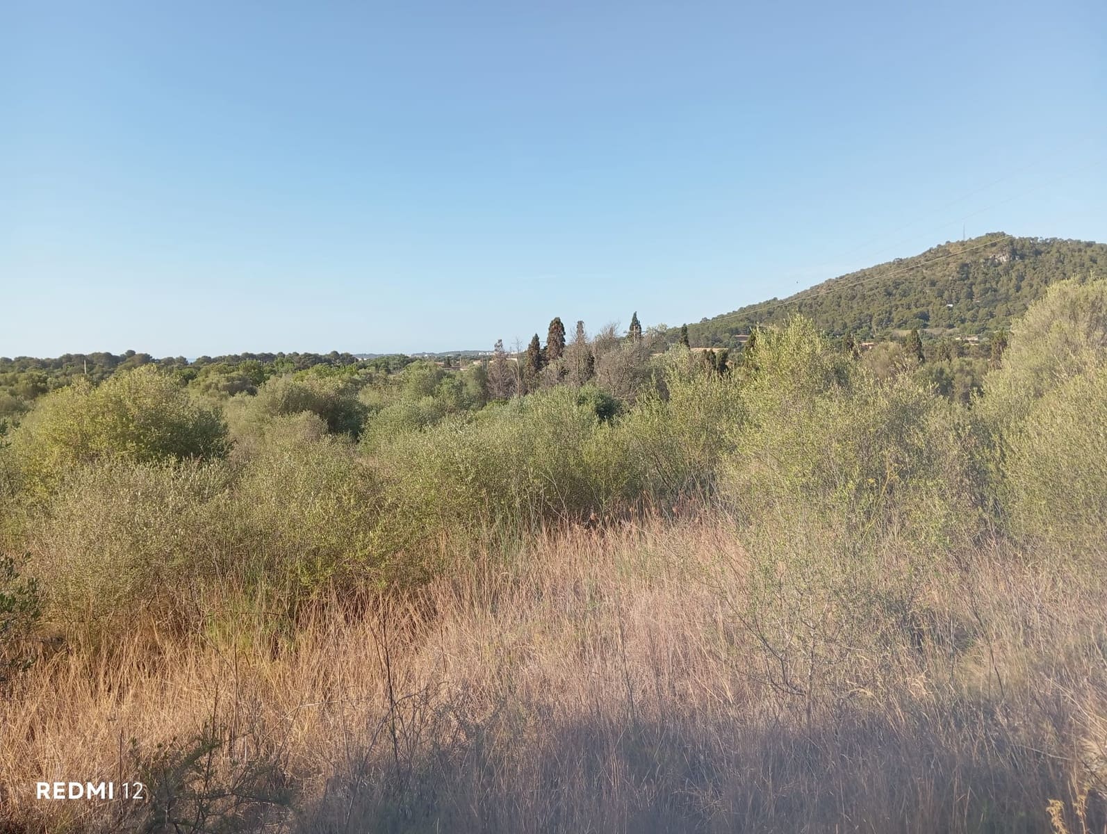 Ubebygd land til salgs i Son Servera - € 170 000 (Ref: 10159895)