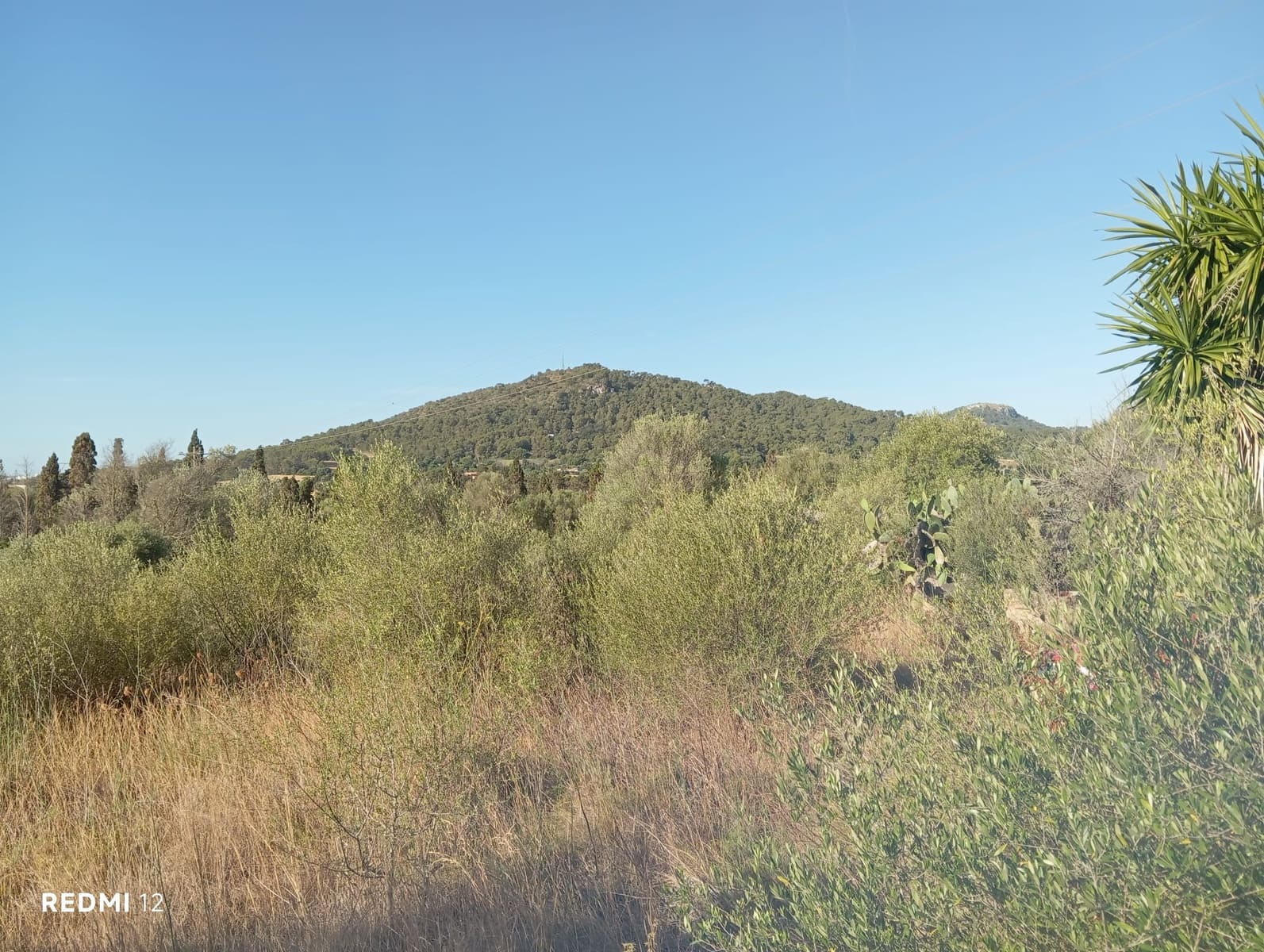 Ubebygd land til salgs i Son Servera - € 170 000 (Ref: 10159895)