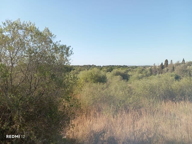 Ubebygd land til salgs i Son Servera - € 170 000 (Ref: 10159895)