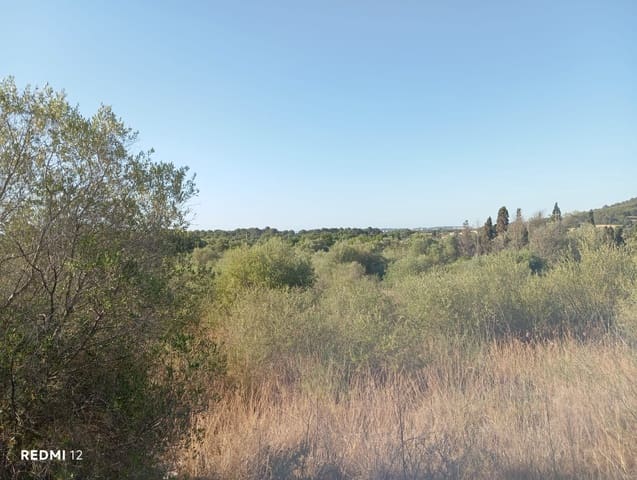 Ubebygd land til salgs i Son Servera - € 170 000 (Ref: 10159895)