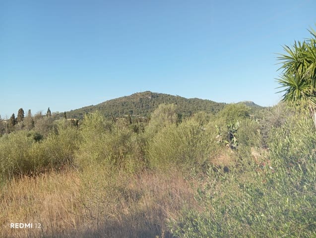Ubebygd land til salgs i Son Servera - € 170 000 (Ref: 10159895)